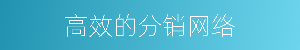 高效的分销网络的同义词