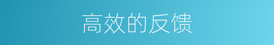 高效的反馈的同义词