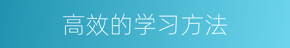 高效的学习方法的同义词