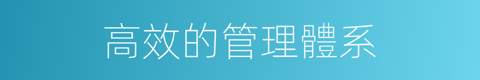 高效的管理體系的同義詞