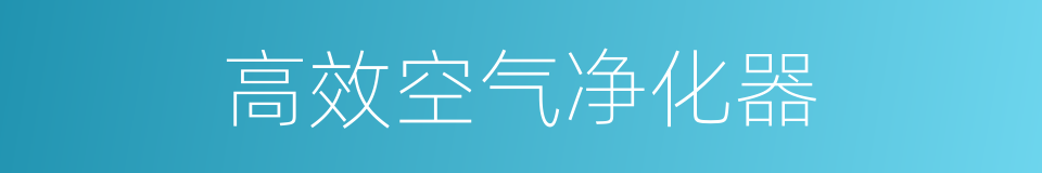 高效空气净化器的同义词