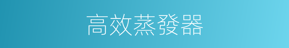 高效蒸發器的同義詞