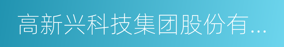 高新兴科技集团股份有限公司的同义词