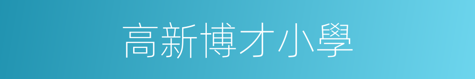 高新博才小學的同義詞