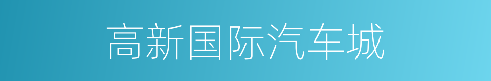 高新国际汽车城的同义词