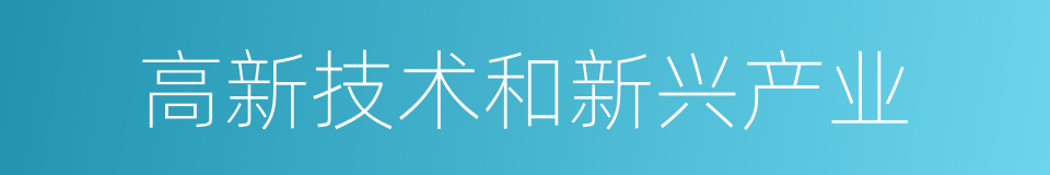 高新技术和新兴产业的同义词