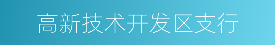 高新技术开发区支行的同义词