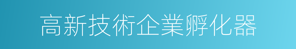 高新技術企業孵化器的同義詞