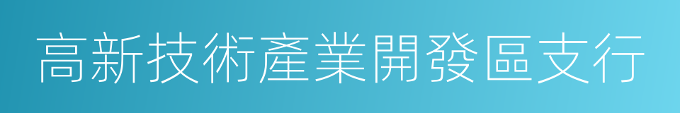 高新技術產業開發區支行的同義詞