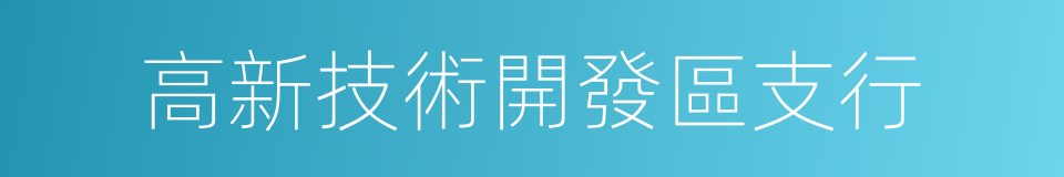 高新技術開發區支行的同義詞