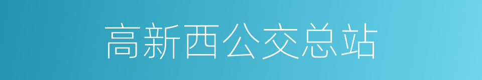 高新西公交总站的同义词