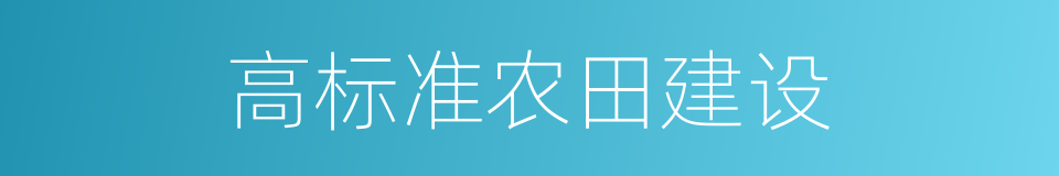 高标准农田建设的同义词