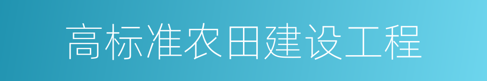 高标准农田建设工程的同义词