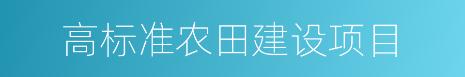 高标准农田建设项目的同义词