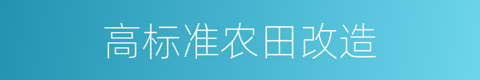 高标准农田改造的同义词