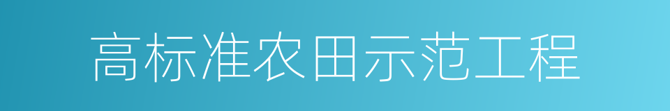 高标准农田示范工程的同义词