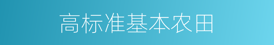 高标准基本农田的同义词