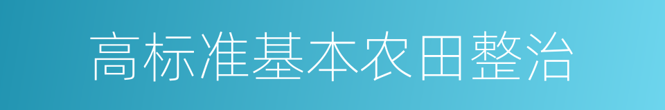 高标准基本农田整治的同义词