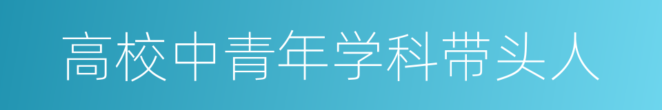 高校中青年学科带头人的同义词