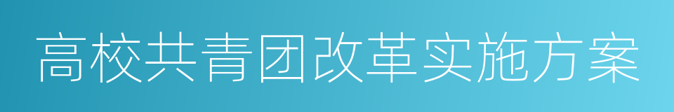 高校共青团改革实施方案的同义词