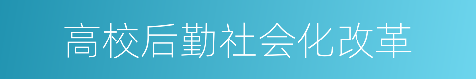 高校后勤社会化改革的同义词