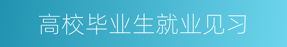 高校毕业生就业见习的同义词