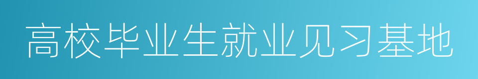 高校毕业生就业见习基地的同义词