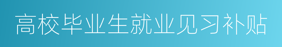 高校毕业生就业见习补贴的同义词