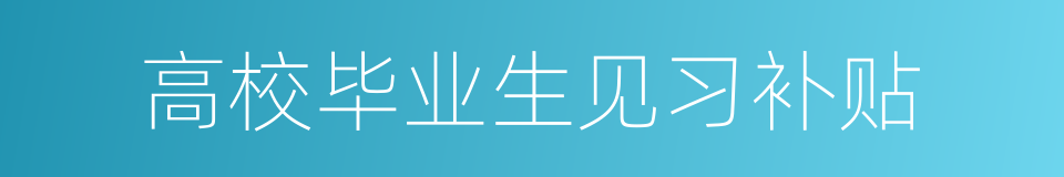 高校毕业生见习补贴的同义词