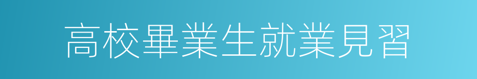 高校畢業生就業見習的同義詞