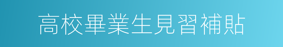 高校畢業生見習補貼的同義詞