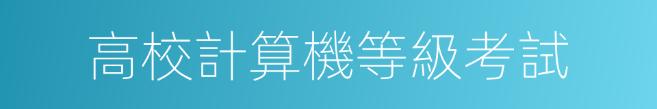 高校計算機等級考試的同義詞