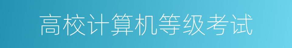 高校计算机等级考试的同义词