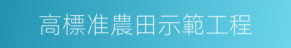 高標准農田示範工程的同義詞