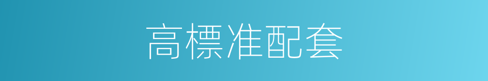 高標准配套的同義詞
