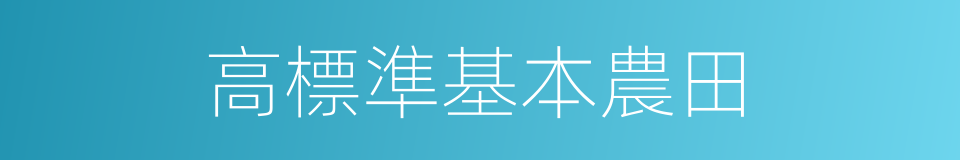 高標準基本農田的同義詞