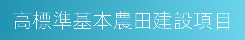 高標準基本農田建設項目的同義詞