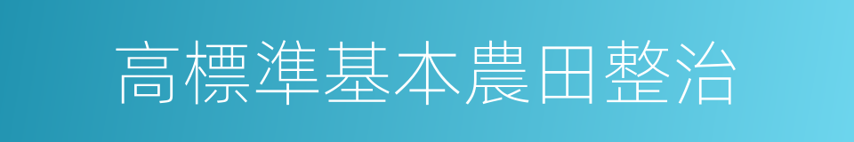 高標準基本農田整治的同義詞