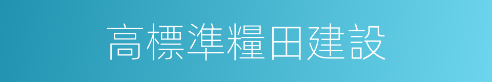 高標準糧田建設的同義詞