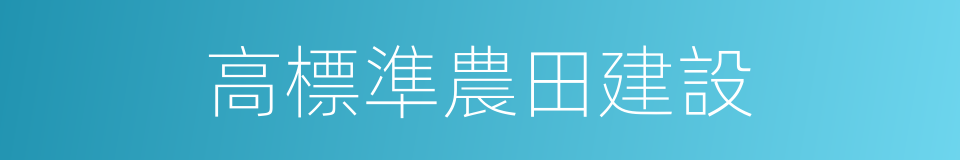 高標準農田建設的同義詞