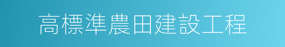 高標準農田建設工程的同義詞