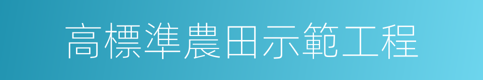 高標準農田示範工程的同義詞