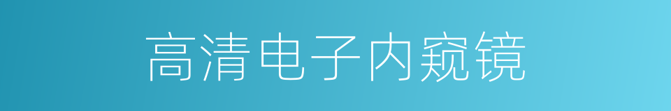 高清电子内窥镜的同义词