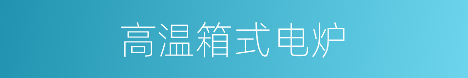 高温箱式电炉的同义词