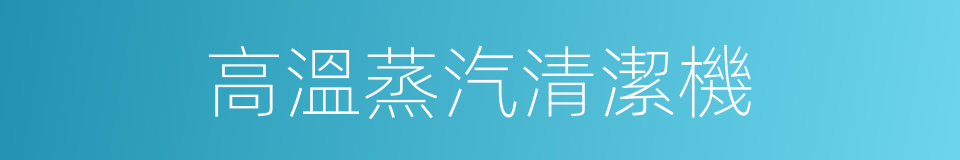 高溫蒸汽清潔機的同義詞