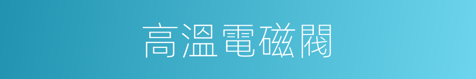 高溫電磁閥的同義詞