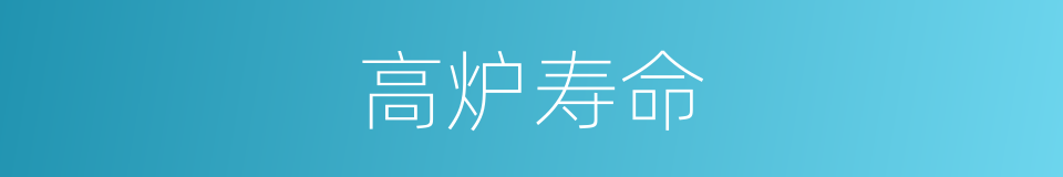 高炉寿命的同义词