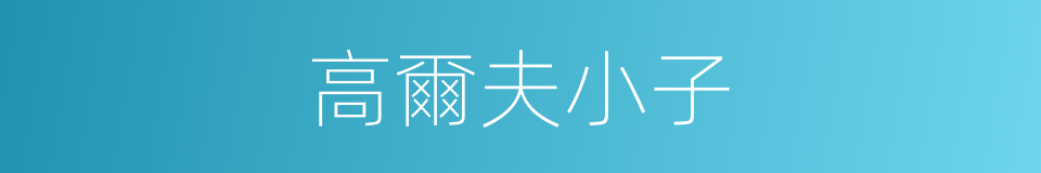 高爾夫小子的同義詞