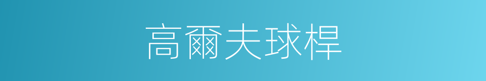 高爾夫球桿的同義詞