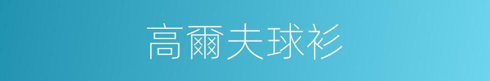 高爾夫球衫的同義詞